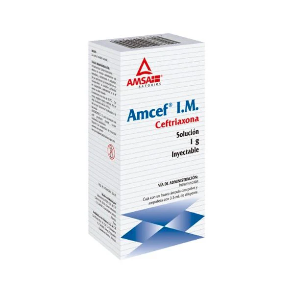 AMCEF 1 G C/1 AMPOLLETA  I.M