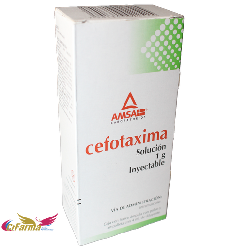 CEFOTAXIMA 1G SOL INY 4ML C/1AMP
